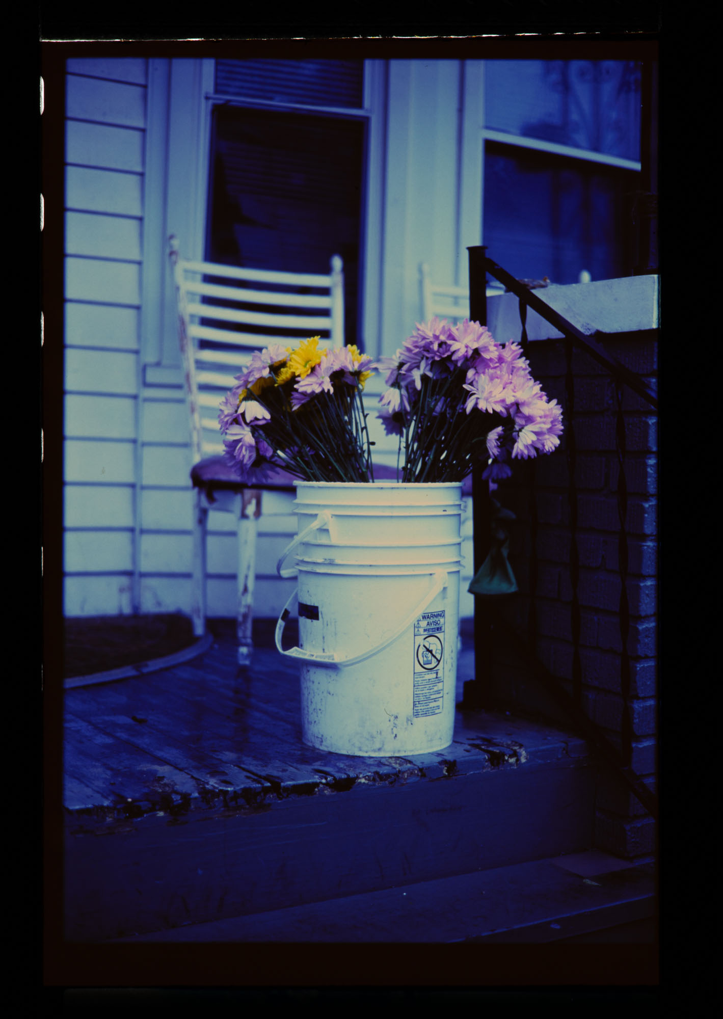 detroit, plate 05