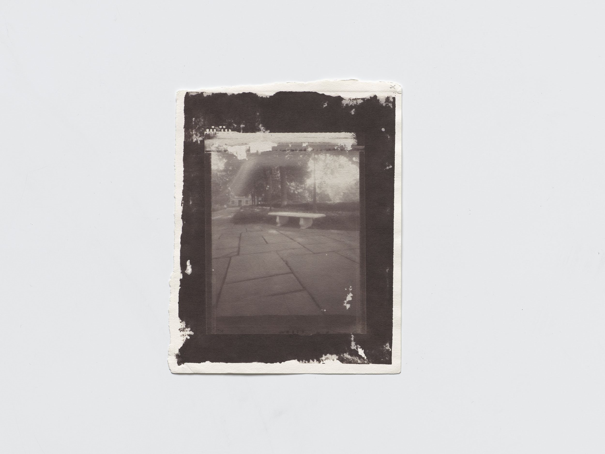 early, plate 07